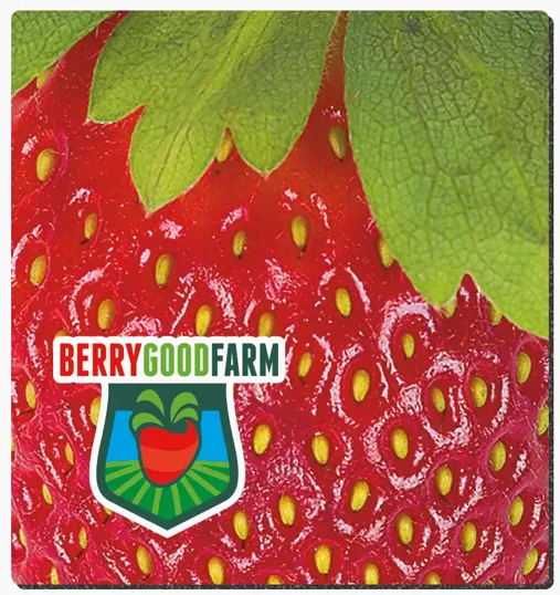 Good Value™ Fabric Surface Mouse Pad, 7-1/2" x 8" — view 3