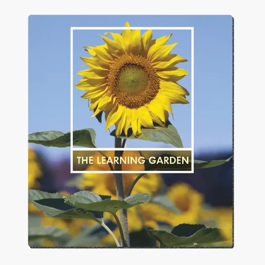 Good Value™ Ultra Thin Firm Mouse Pad, 7-1/2" x 8-1/2" — view 3