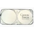 Good Value™ Reflective Polyester Sun Shade with Carry Pouch — view 7