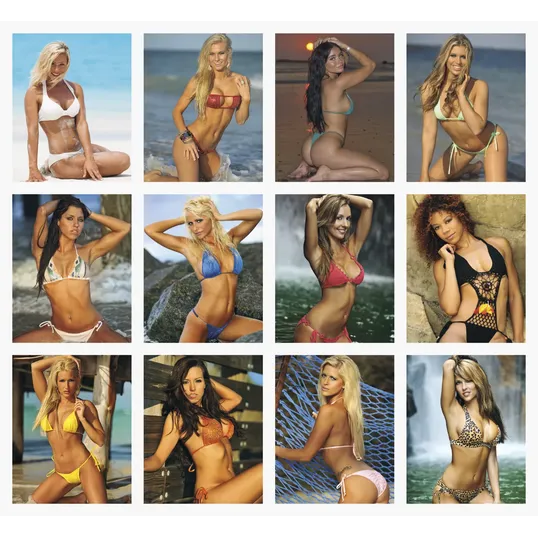 Triumph® Press-N-Stick Sunshine Girls Calendar, 13-Month — view 3
