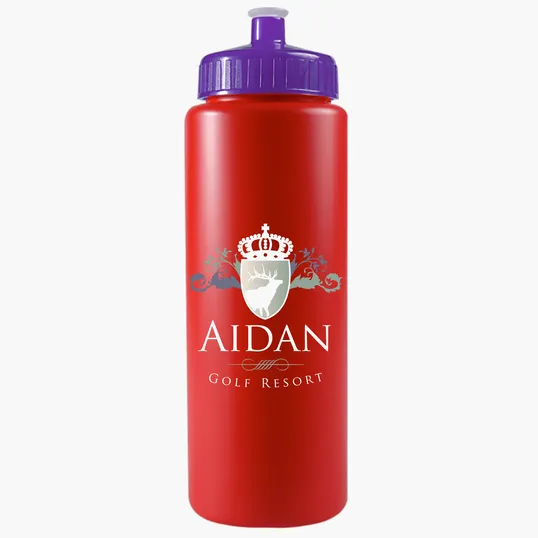 Garyline® Quart Sport Bottle with Push-Pull Lid, 32 oz. — view 114