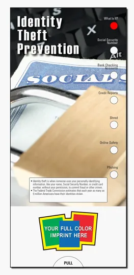 Identity Theft Prevention Slide Chart
