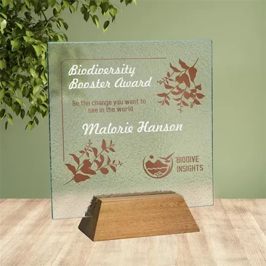 Rio Square Recycled Glass Award with Wood Base