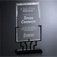 Wright Rectangle Optical Crystal Award