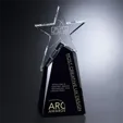 Paramount Star Crystal Award — view 2
