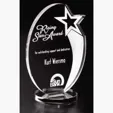 Royal Star Optical Crystal Award