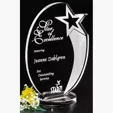 Royal Star Optical Crystal Star Award — view 2