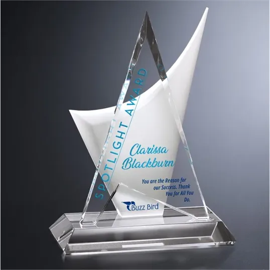 Enterprise Crystal Award — view 2
