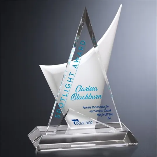 Enterprise Crystal Award — view 3