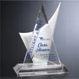 Enterprise Crystal Award