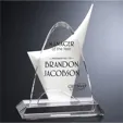 Discovery Award in White/Optical Crystal