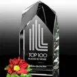 Blenheim Optical Crystal Award