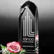 Blenheim Optical Crystal Tower Award, 12 Inch