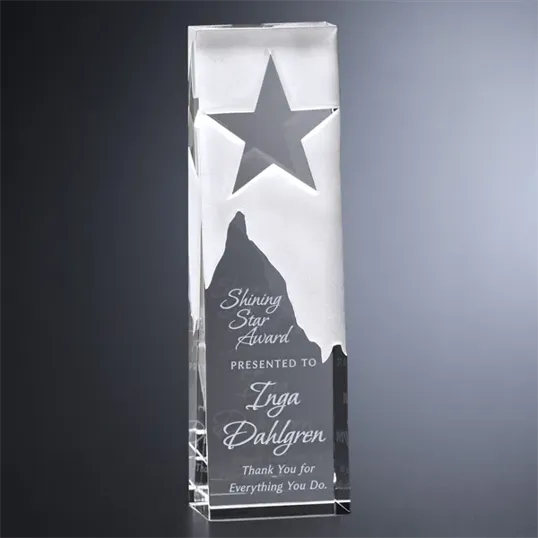 North Star Optical Crystal Wedge Award — view 2