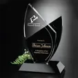 Tuxedo Award™ Newport Optical Crystal and Black Glass Award — view 2