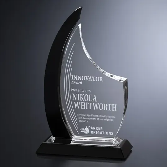Oxford Black and Optical Crystal Award — view 2