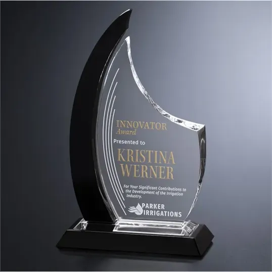 Oxford Black and Optical Crystal Award — view 3