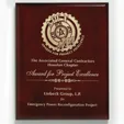 Aberdeen Rosewood Laser Plaque, 12" x 15" — view 2