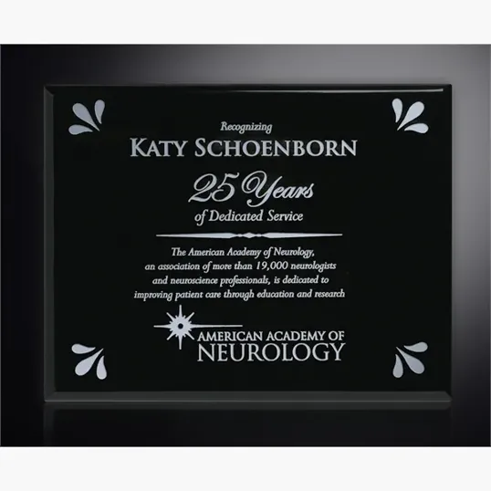 Aberdeen Black Laser Plaque, 12" x 15" — view 2