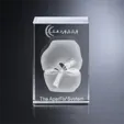 Camby Rectangle Optical Crystal Award, 7 x 4 5/8 x 3 1/8 — view 2