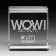 Colin Cube Optical Crystal Paperweight