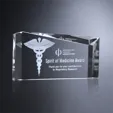 Norfolk Wedge Optical Crystal Award — view 2