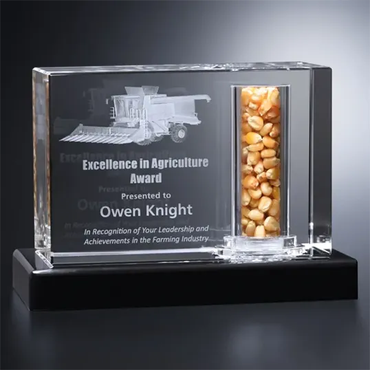 Courtney Rectangle Optical Crystal Award