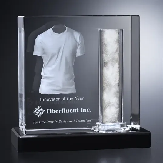 Curry Square Optical Crystal Award — view 3