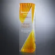 Catalyst Liuli Crystal Tower Award — view 2