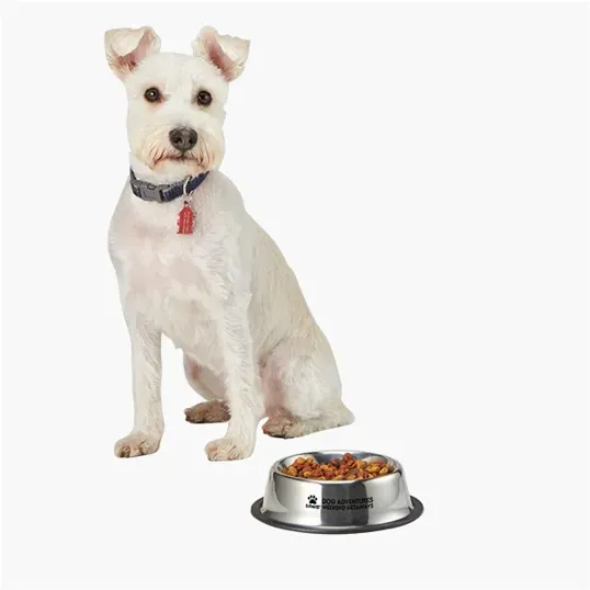 Medium Stainless Steel Pet Bowl, 12 oz