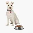 Medium Stainless Steel Pet Bowl, 12 oz