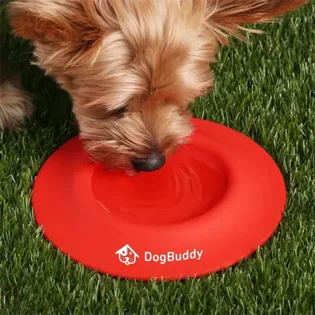 Picture For 2-in-1 Silicone Pet Flyer & Drinking Bowl