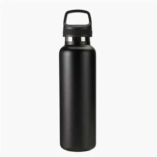 Evans 20 oz. Insulated Stainless Steel Water Bottle — view 2