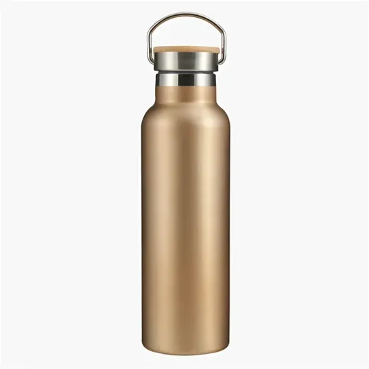 Evans 21 oz. Stainless Steel Insulated Bottle — view 10