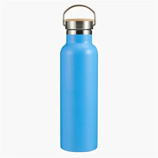 Evans 21 oz. Stainless Steel Insulated Bottle — view 12