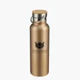 Evans 21 oz. Stainless Steel Insulated Bottle — view 3