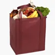 Evans Insulated Grocery Tote — view 10