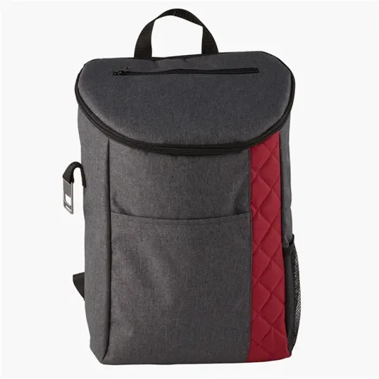 Mod Insulated Cooler Backpack — view 4