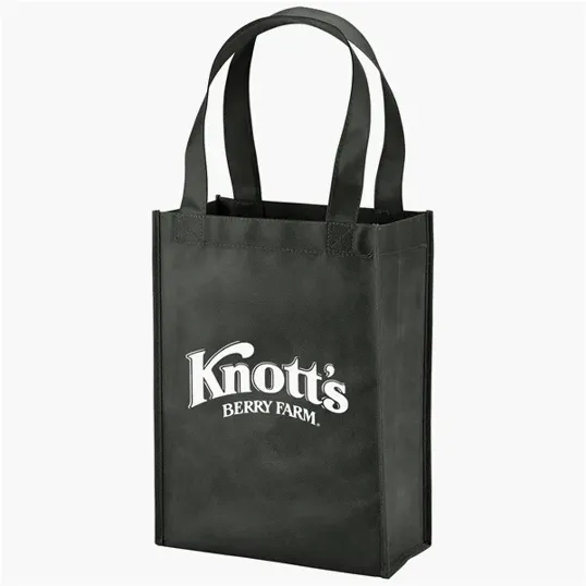Evans Mini Tote Bag with Reinforced Handles