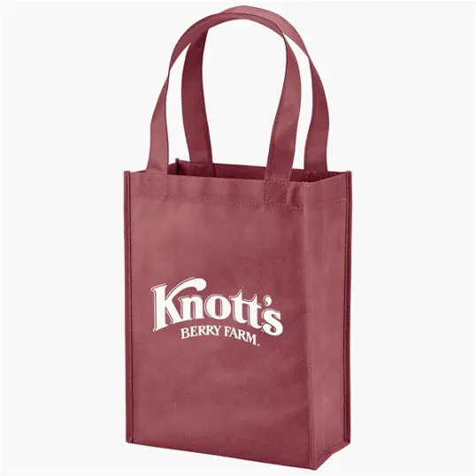 Evans Mini Tote Bag with Reinforced Handles — view 2