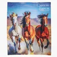 Sublimated Ultra Plush Fleece Blanket