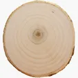 Tree Bark Coaster