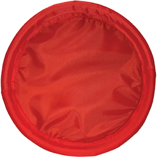 Fetch & Catch Flying Disc