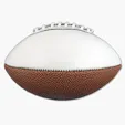 14" Full-Size Synthetic Leather Signature Football