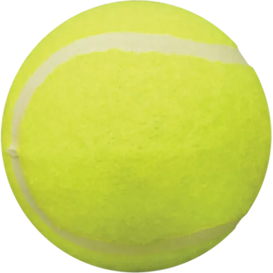 Tennis Ball Dog Toy