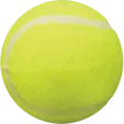 Tennis Ball Dog Toy