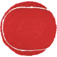 Tennis Ball Dog Toy