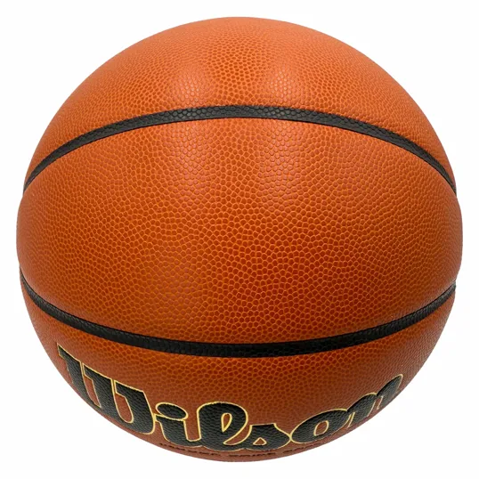 Wilson Evolution Basketball