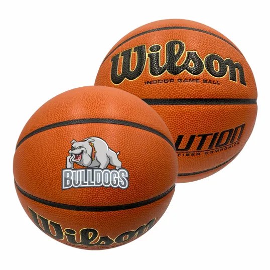 Wilson Evolution Basketball — view 2