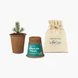 Modern Sprout® One For One Tree Kit — view 2